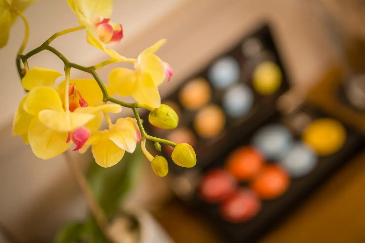 Boutique Hotel Promenade Burgas 5*,